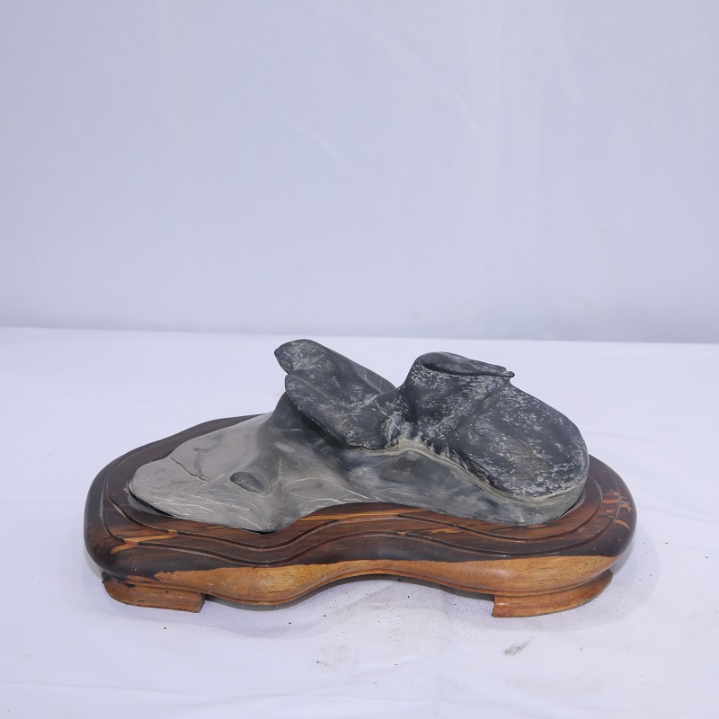 1610672567154053.jpg 4F9A8324.JPG