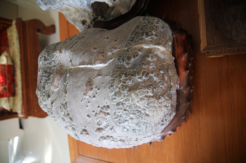 1612400454132963.jpg 4F9A0231.JPG