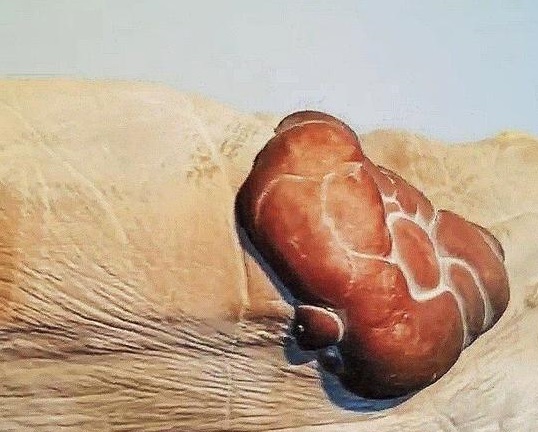 1612400646210253.jpeg 29381f30e924b8992cfca662eea43092087bf6d6.jpeg