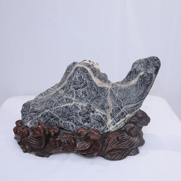 1612401210240978.jpg 4F9A8899.JPG