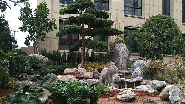 1614325394138261.jpg ABUIABACGAAg36Cu5wUogMLTgQUw2AQ40gI.jpg