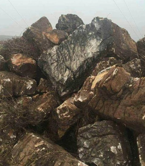 1614325894333281.jpg u=3058212122,4184990062&fm=173&app=25&f=JPEG.jpg