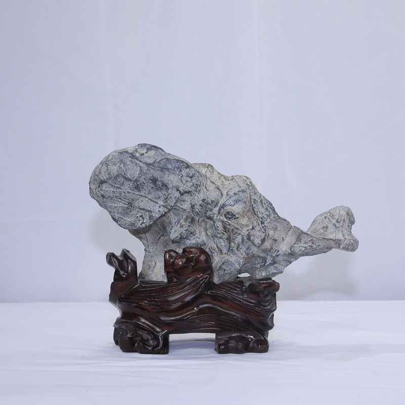 1615098902515090.jpg 4F9A8242.JPG