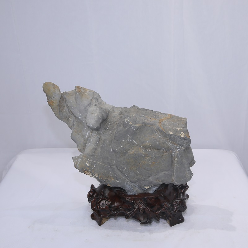 1615099022763254.jpg 4F9A9269.JPG