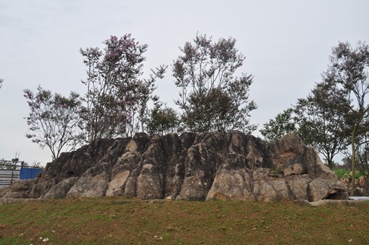 1616117054740533.jpg 蓮花石.jpg