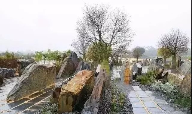 1617093348449122.jpeg b651f3e8a83043eb8ce4a294f81cc348 (1).jpeg