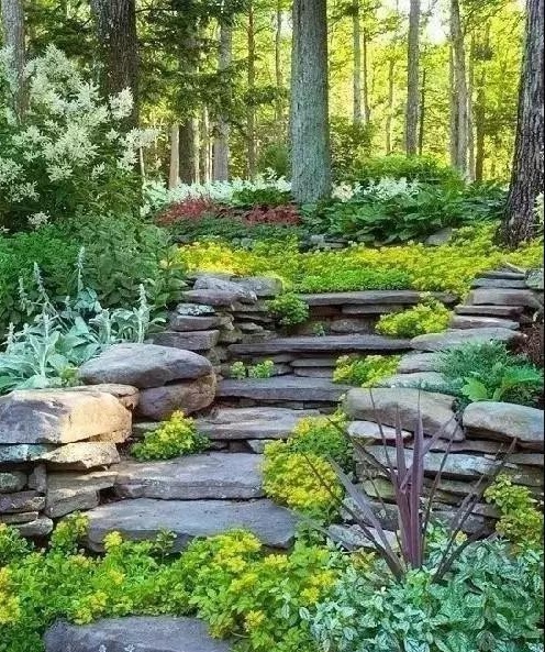 1617093415382552.jpeg 539f953dc7b648cabce3d57150b7d150.jpeg