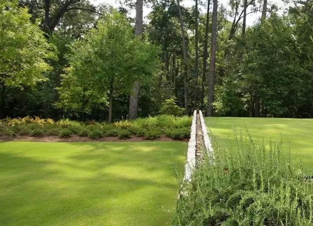 1617093687140145.jpeg b615be8267cd455d97980245551a6760.jpeg