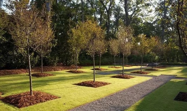 1617093787449423.jpeg eae124feecd24aba8555541bc8222754.jpeg